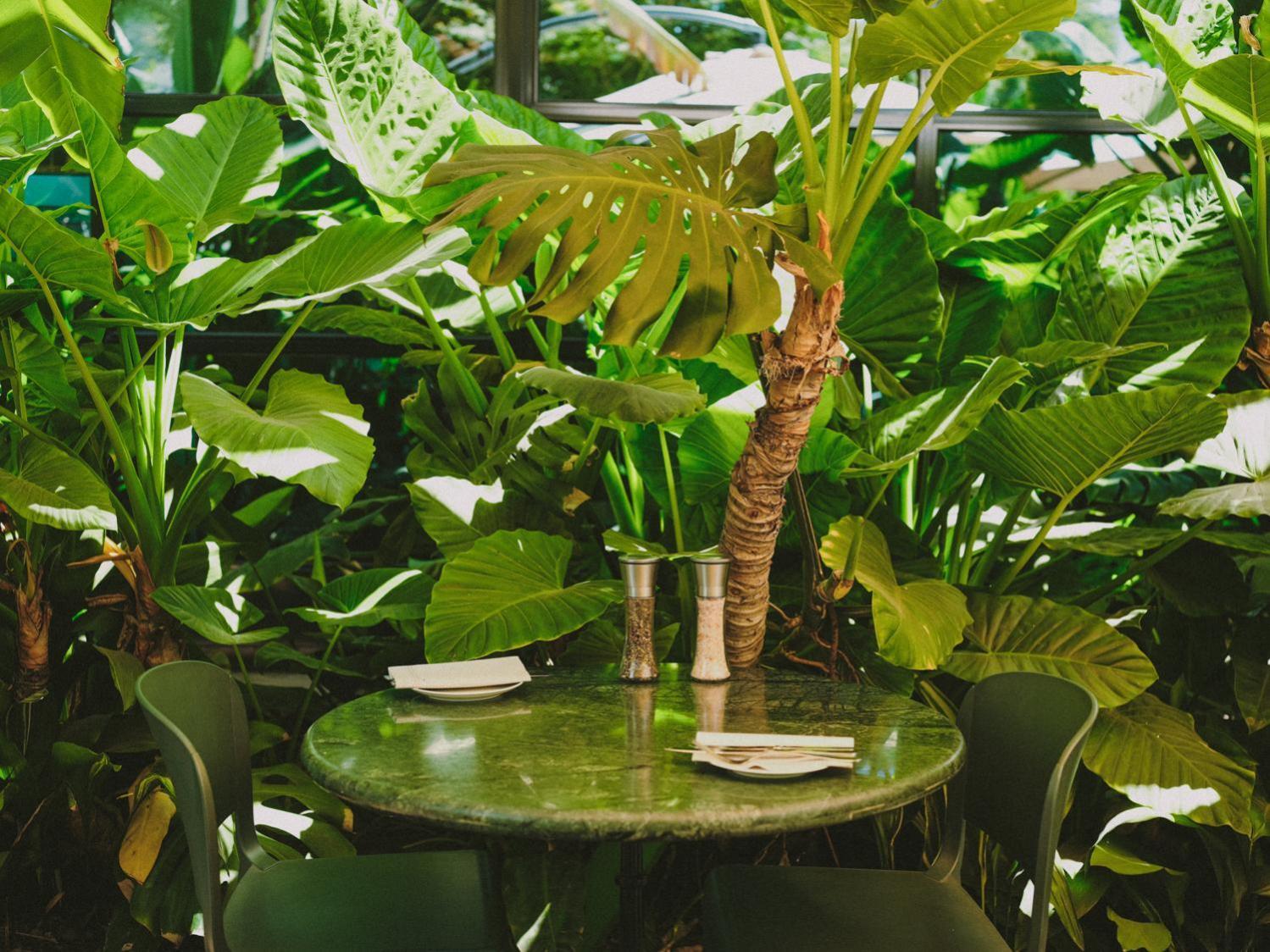 Hotel Eco Boutique Bidasoa Сантьяго Экстерьер фото